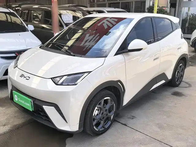 2024 BYD Seagull