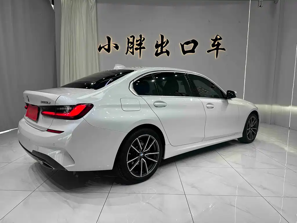 BMW 3 Series 3 2022 320Li M Sport