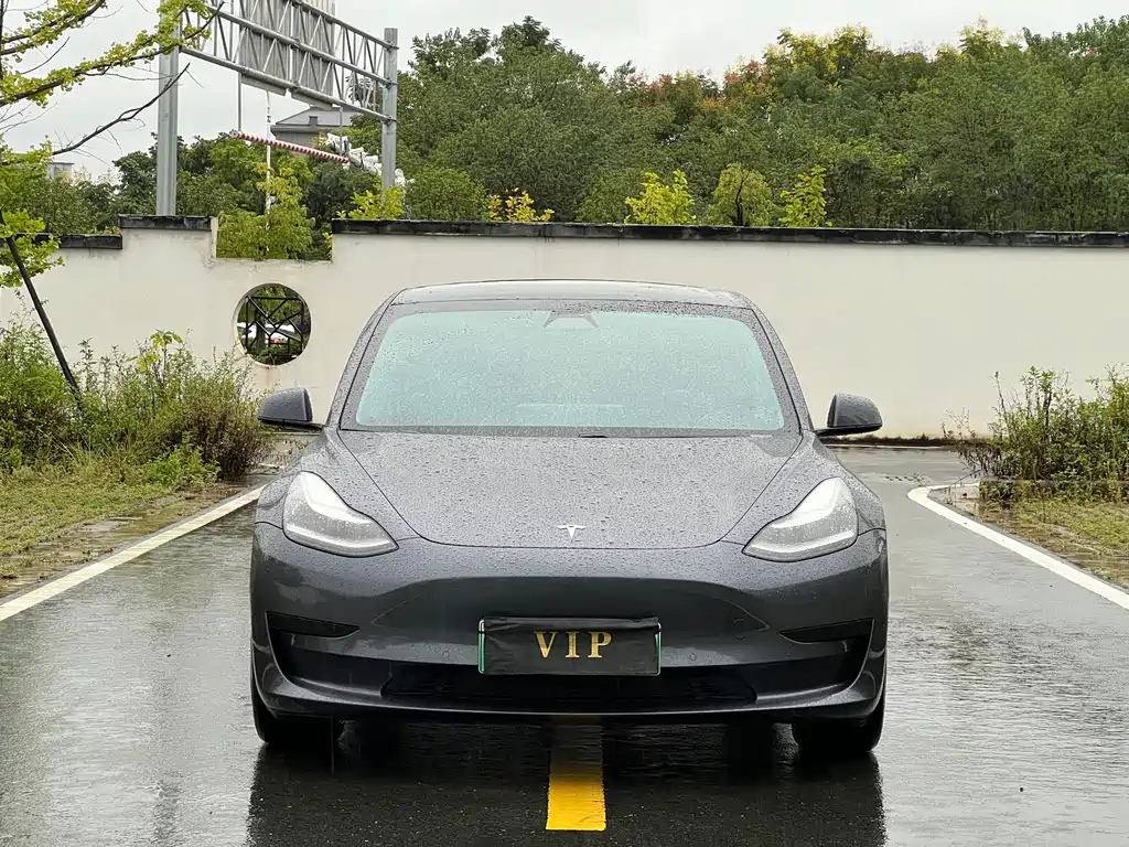 Tesla Model 3 — миниатюра 2