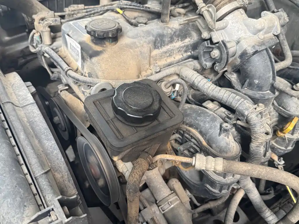 Dongfeng Rich — миниатюра 11
