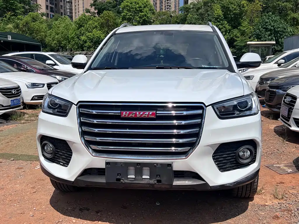 HAVAL  H6