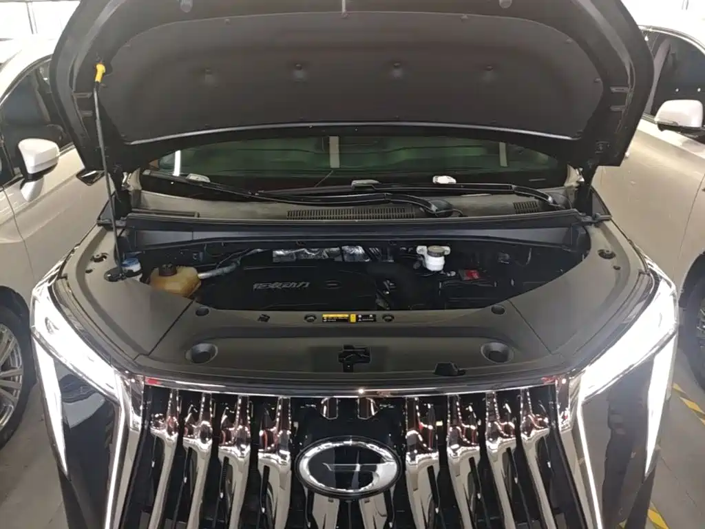 GAC Motor Trumpchi M8 — миниатюра 20