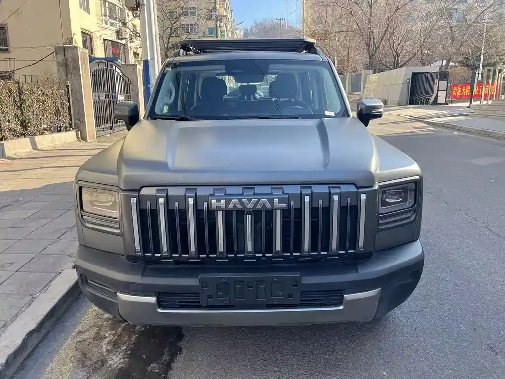 Haval 哈弗猛龙燃油 0