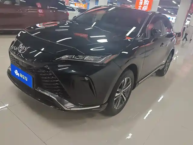 TOYOTA WEISHA 2024