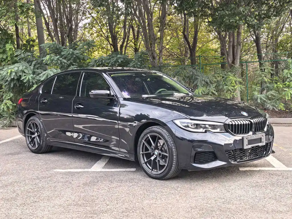 BMW 3 Series — миниатюра 3