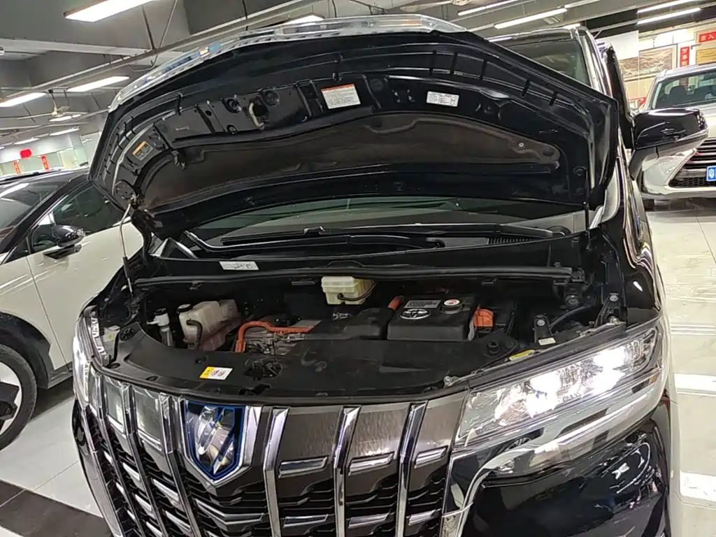 Toyota Alphard — миниатюра 20