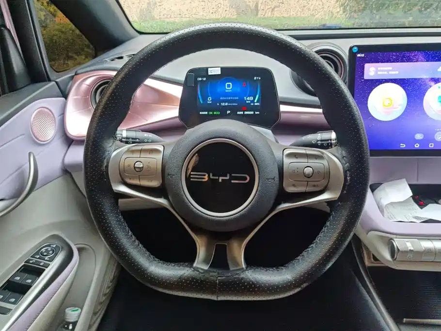 BYD Dolphin — миниатюра 15