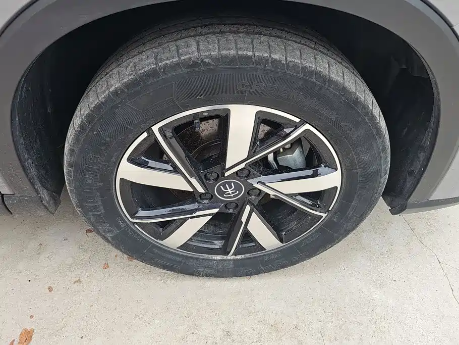 BYD Pro New Energy - фото 6