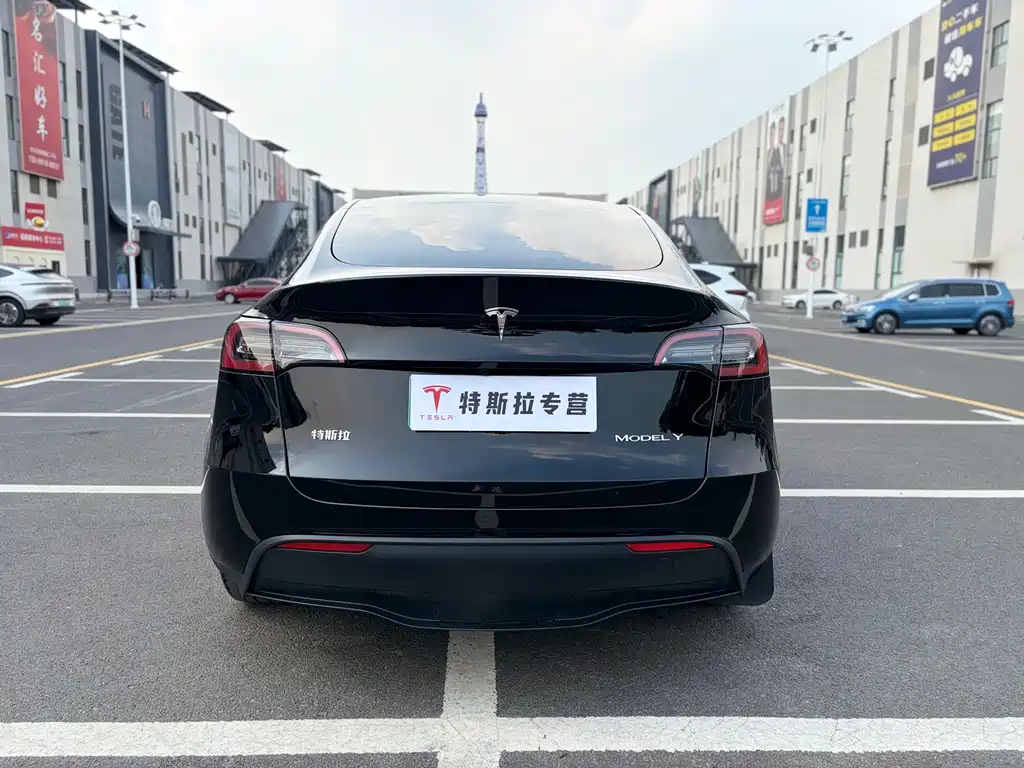 Tesla Model Y — миниатюра 5