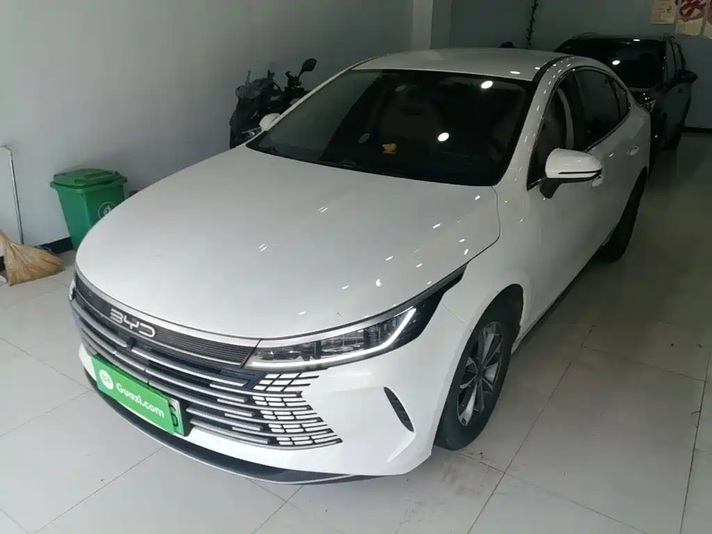 BYD Destroyer 05 2023 Champion DM-i 55KM Luxury