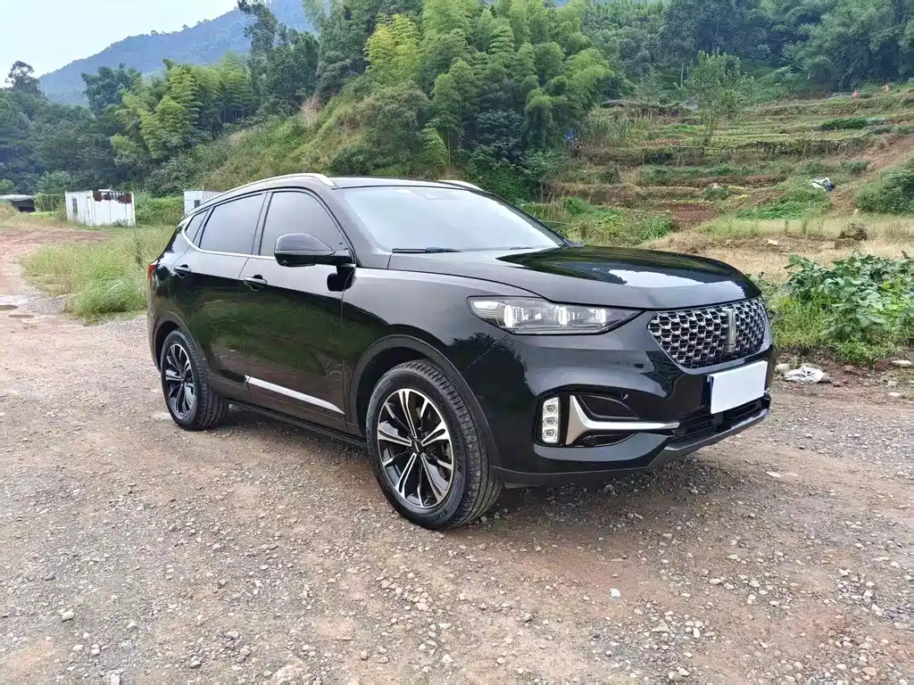 Wey Wey VV6 — миниатюра 3