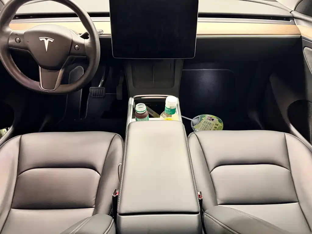 Tesla Model Y — миниатюра 6