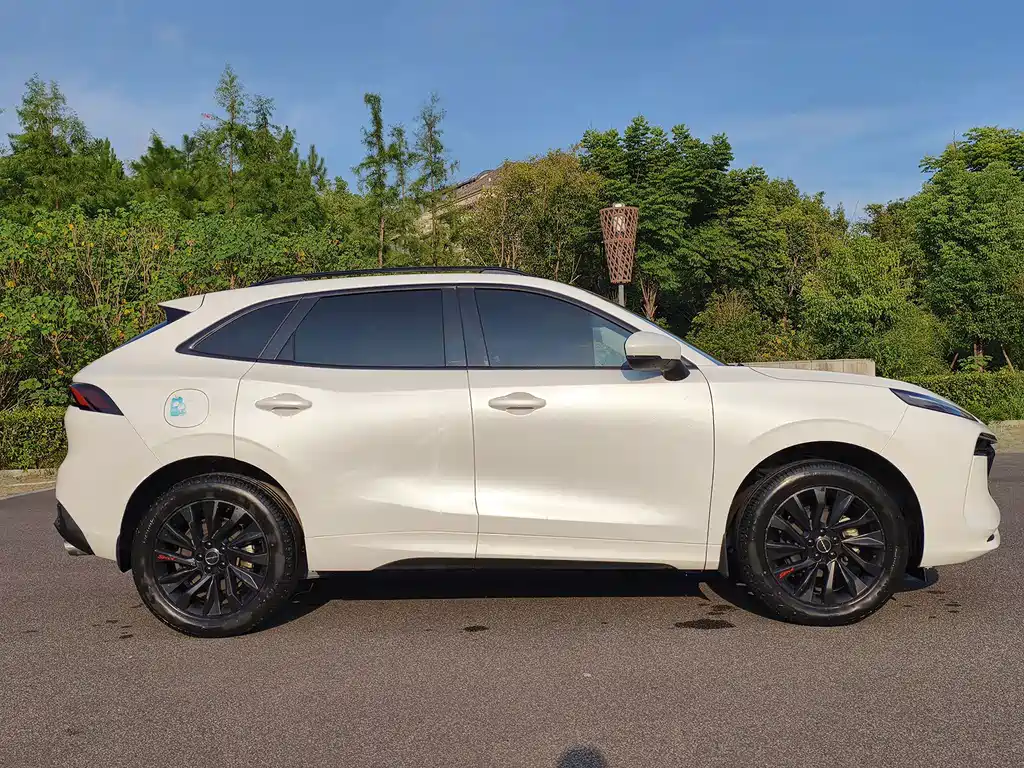 Fengxing Fengxing T5 EVO — миниатюра 4