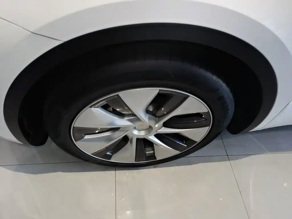 Tesla Model Y — миниатюра 23