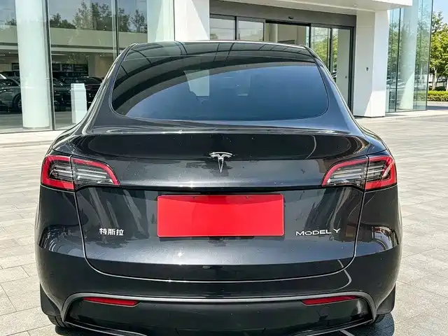 Tesla Model Y — миниатюра 5