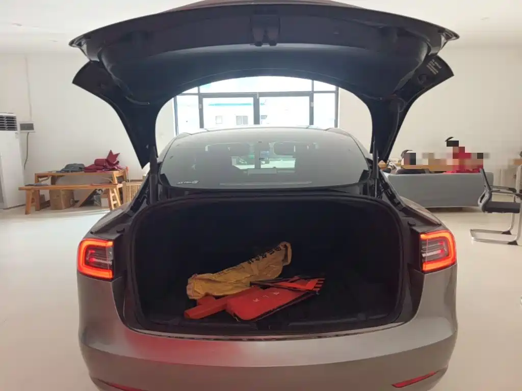 Tesla Model 3 — миниатюра 19