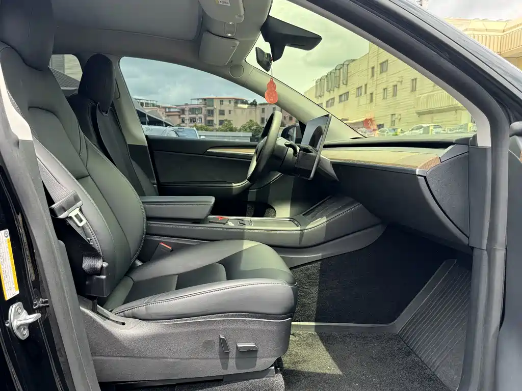 Tesla Model Y — миниатюра 10