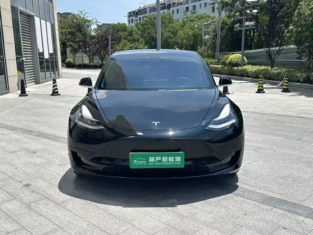 Tesla Model 3 — миниатюра 2