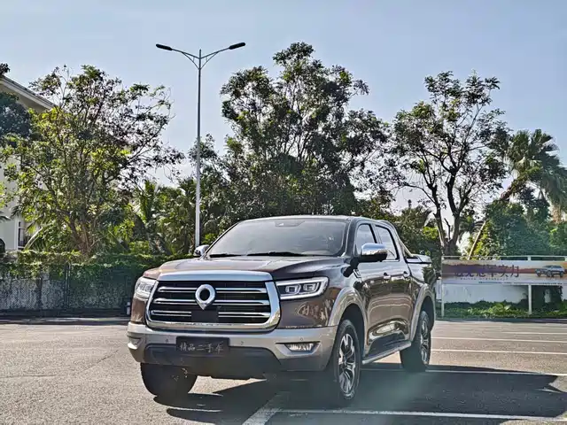 GREAT WALL CANNON 2020