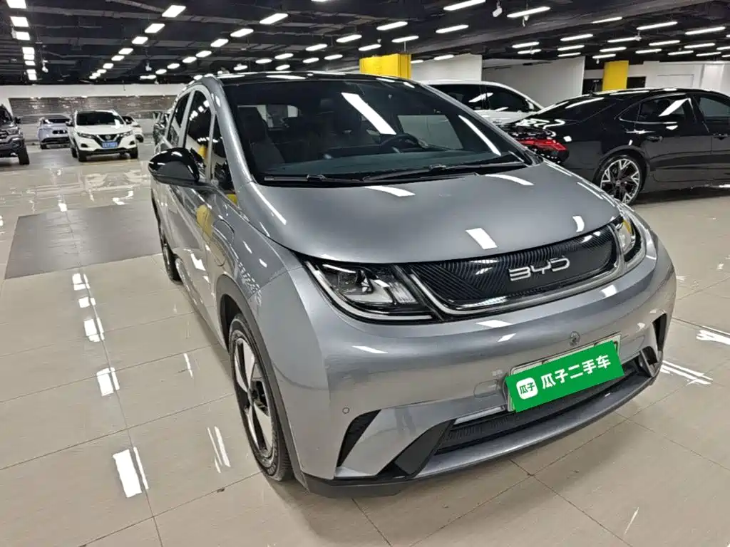 BYD Dolphin — миниатюра 4