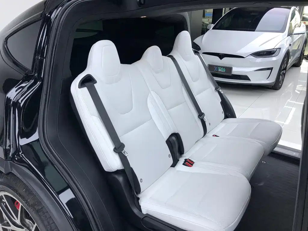 Tesla Model X — миниатюра 15