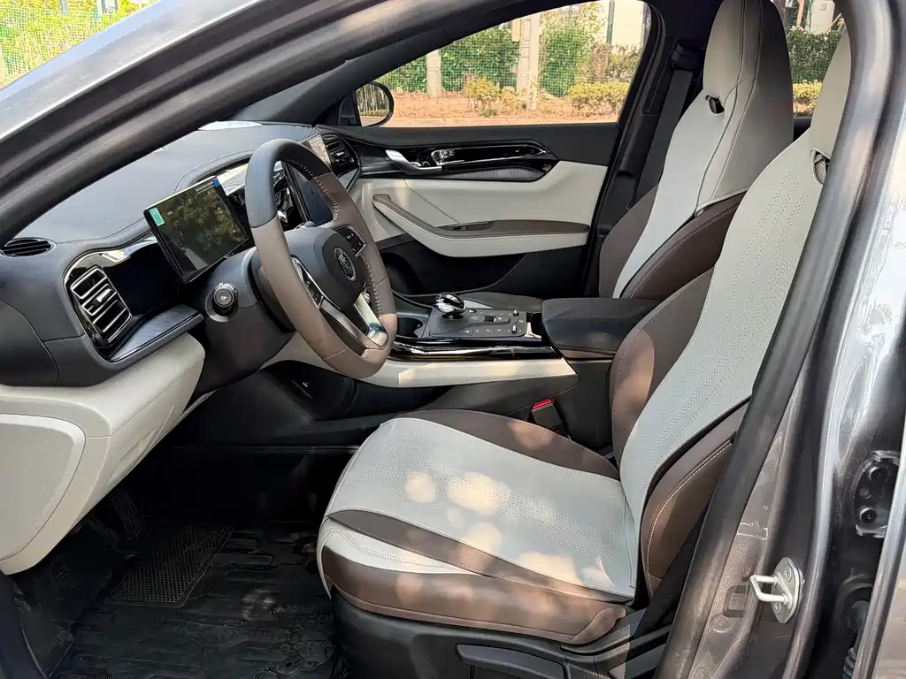 BYD Qin Plus PLUS 2024 DM-i 55KM Lead