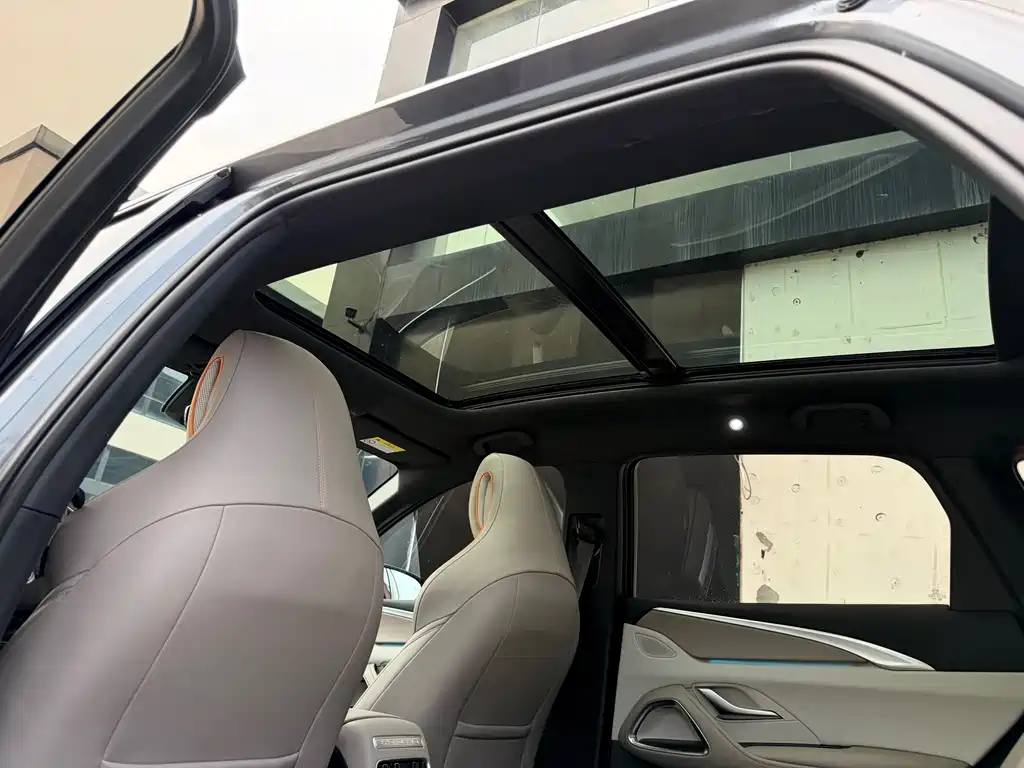 BYD Pro New Energy — миниатюра 9