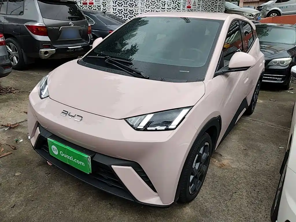 BYD Seagull