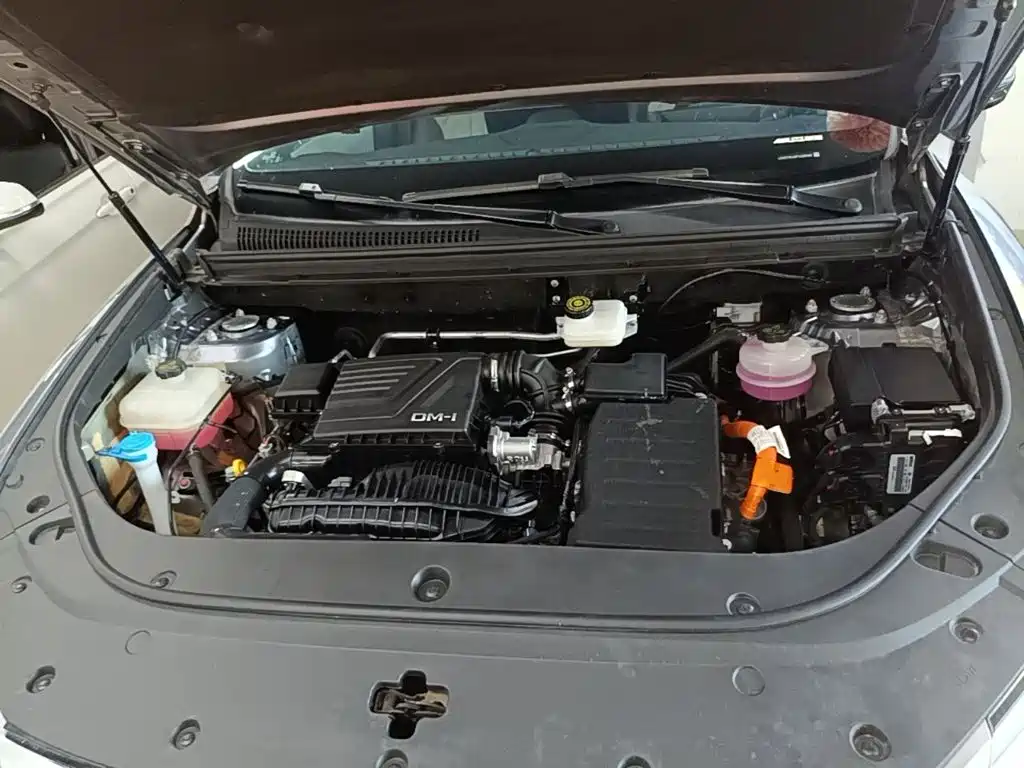BYD Pro New Energy — миниатюра 20