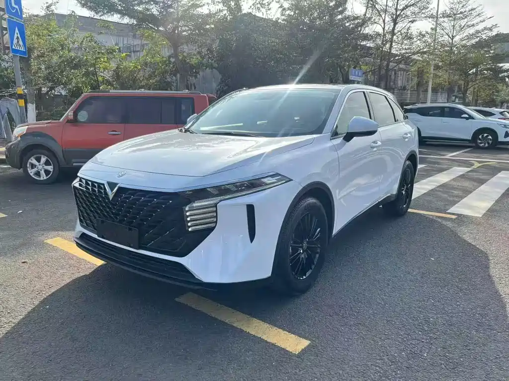 Venucia V 2022