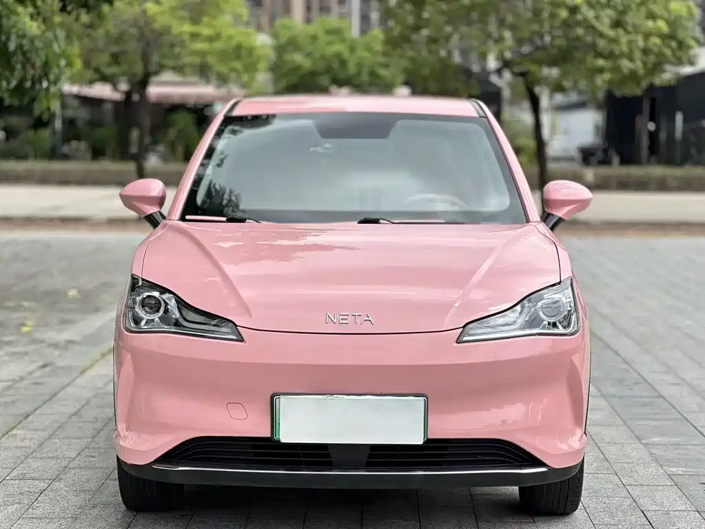 Neta V 2022 400 Lite