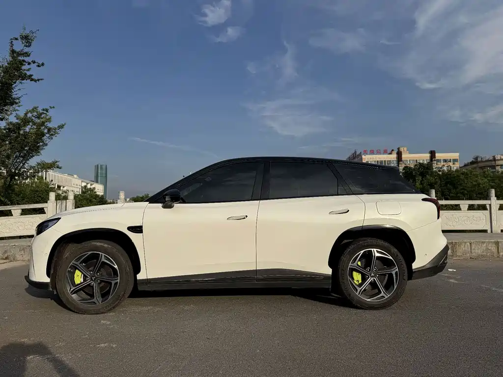 Neta Neta L — миниатюра 8