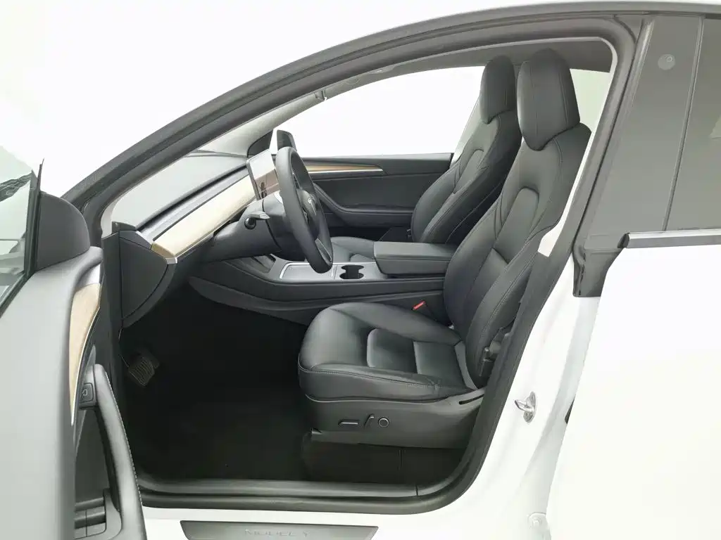Tesla Model Y — миниатюра 10