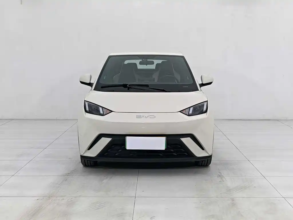 BYD Seagull 2024 305km Freedom