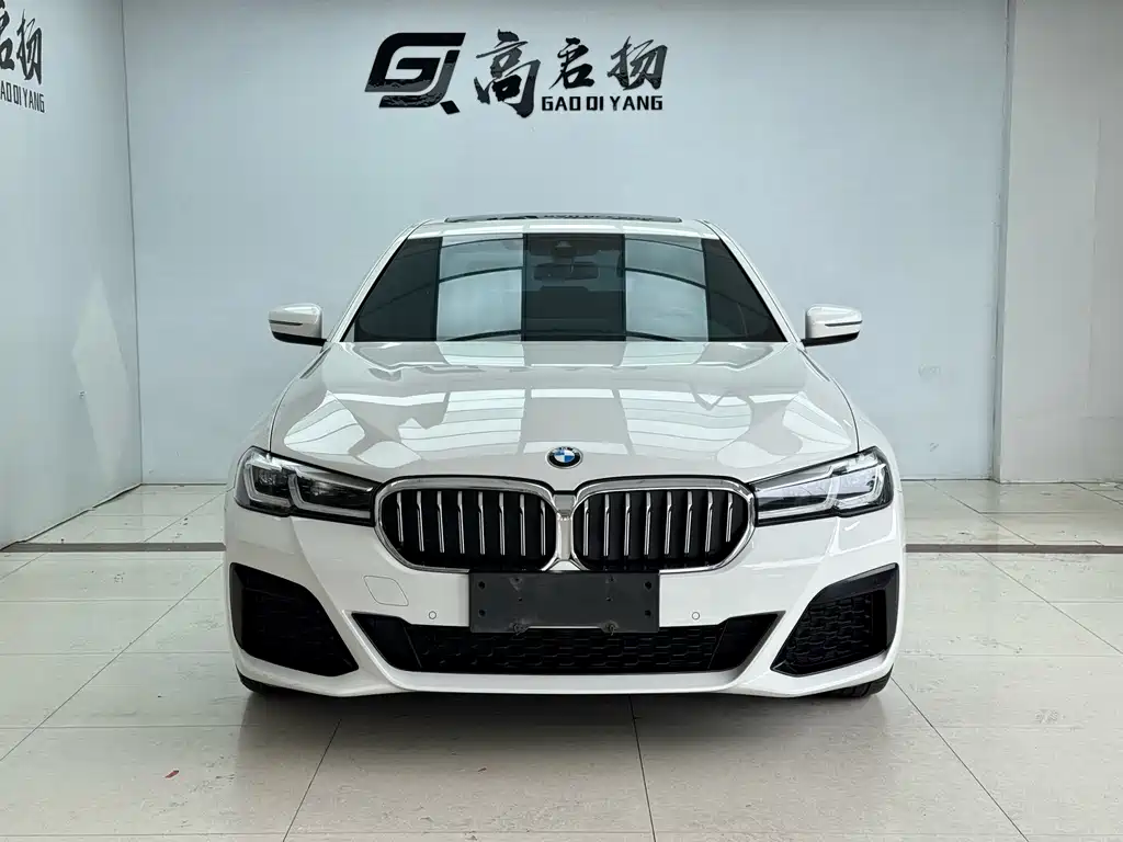 BMW 5 Series (Import) — миниатюра 2