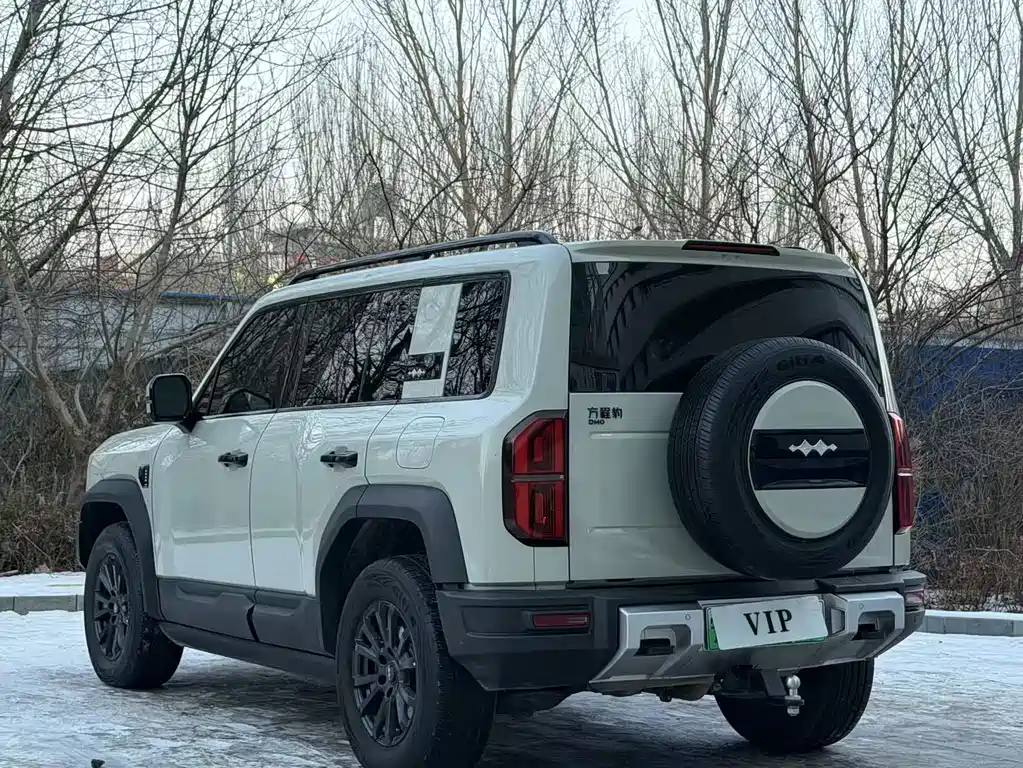 FANG CHENG BAO LEOPARD 5