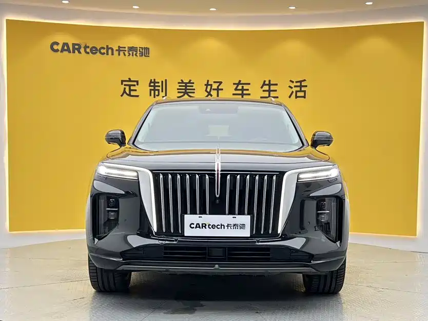 Hongqi Hongqi E-HS9 — миниатюра 3