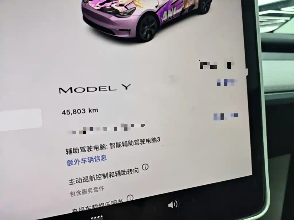 Tesla Model Y — миниатюра 12