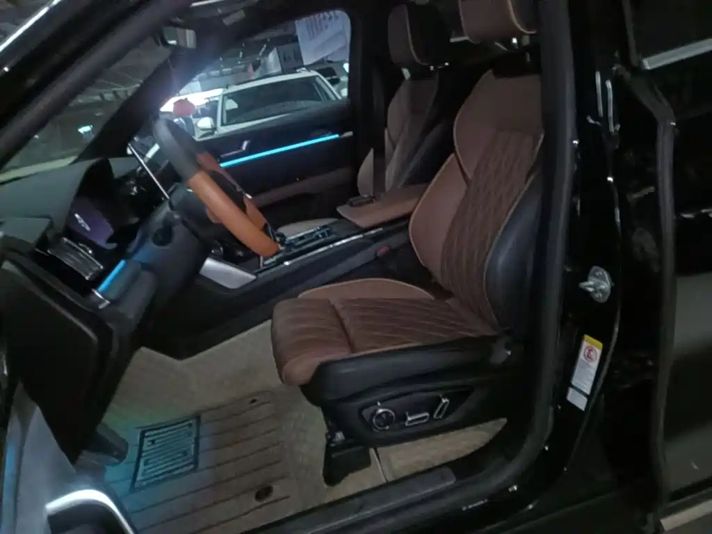 BYD Tang New Energy — миниатюра 15