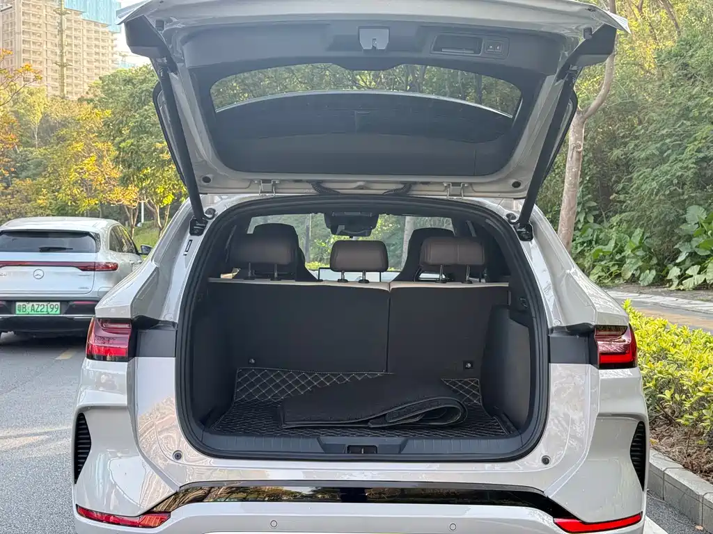 BYD SONGJIANG NEW ENERGY