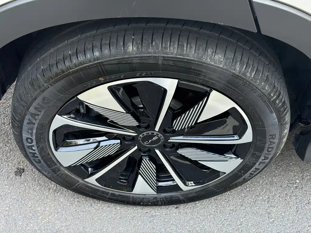 BYD SONGJIANG NEW ENERGY