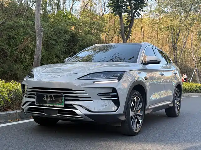 BYD SONGJIANG NEW ENERGY 2025