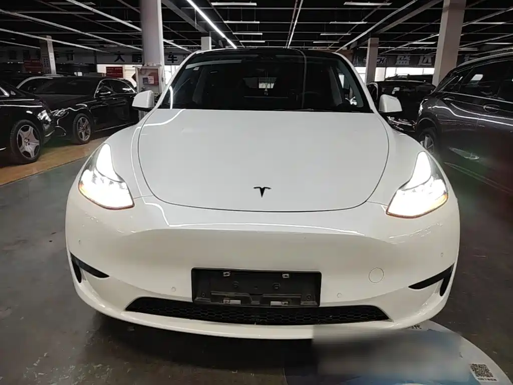 Tesla Model Y — миниатюра 3