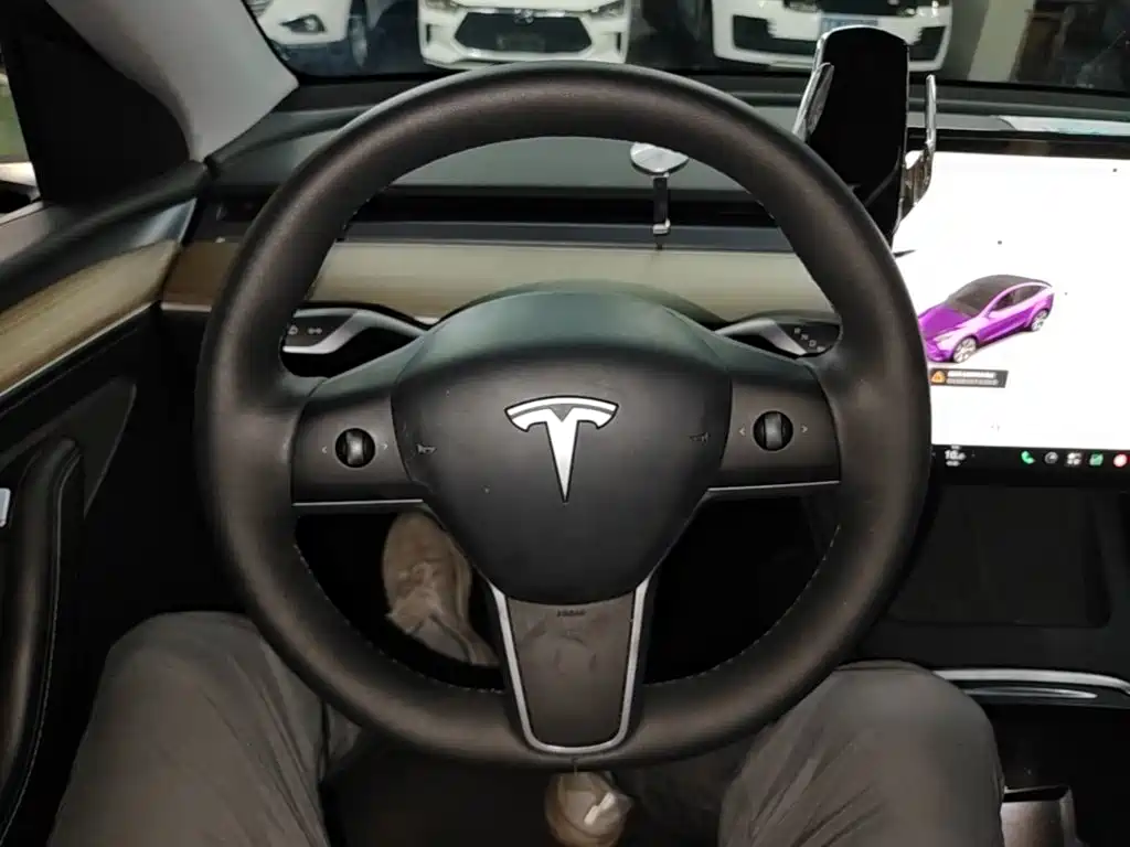 Tesla Model Y — миниатюра 11