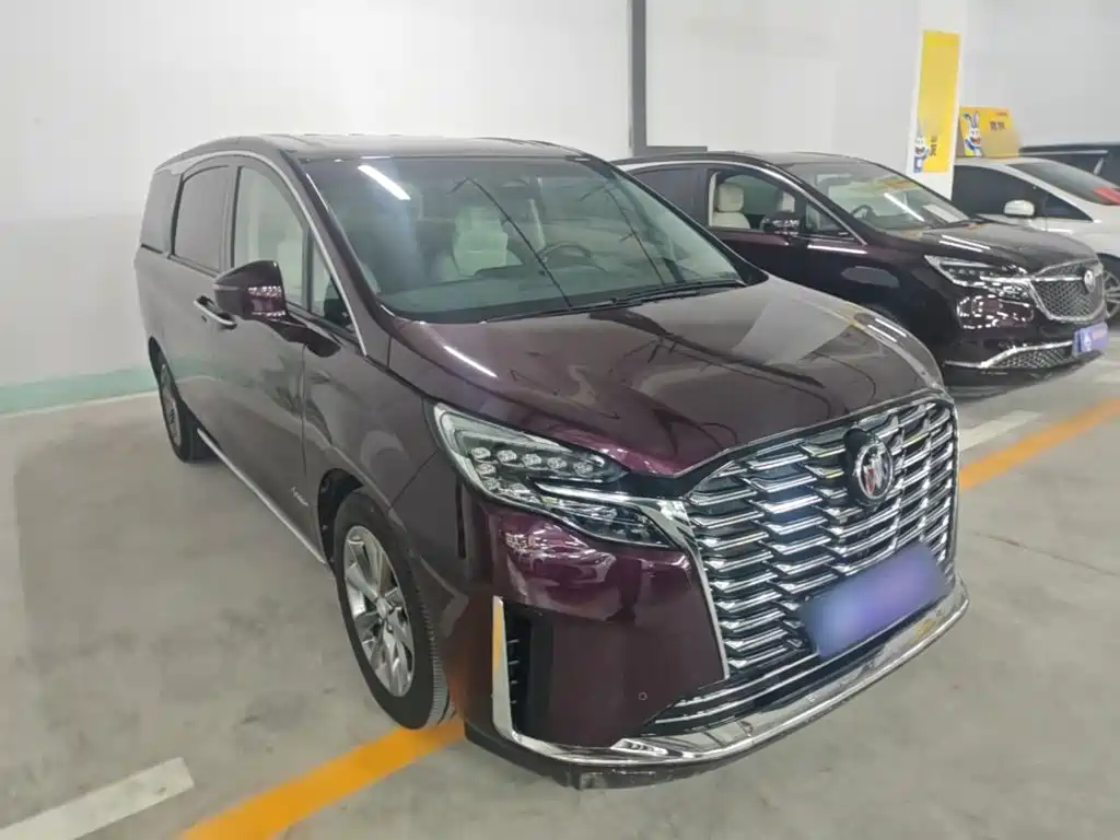 Buick GL8 — миниатюра 4
