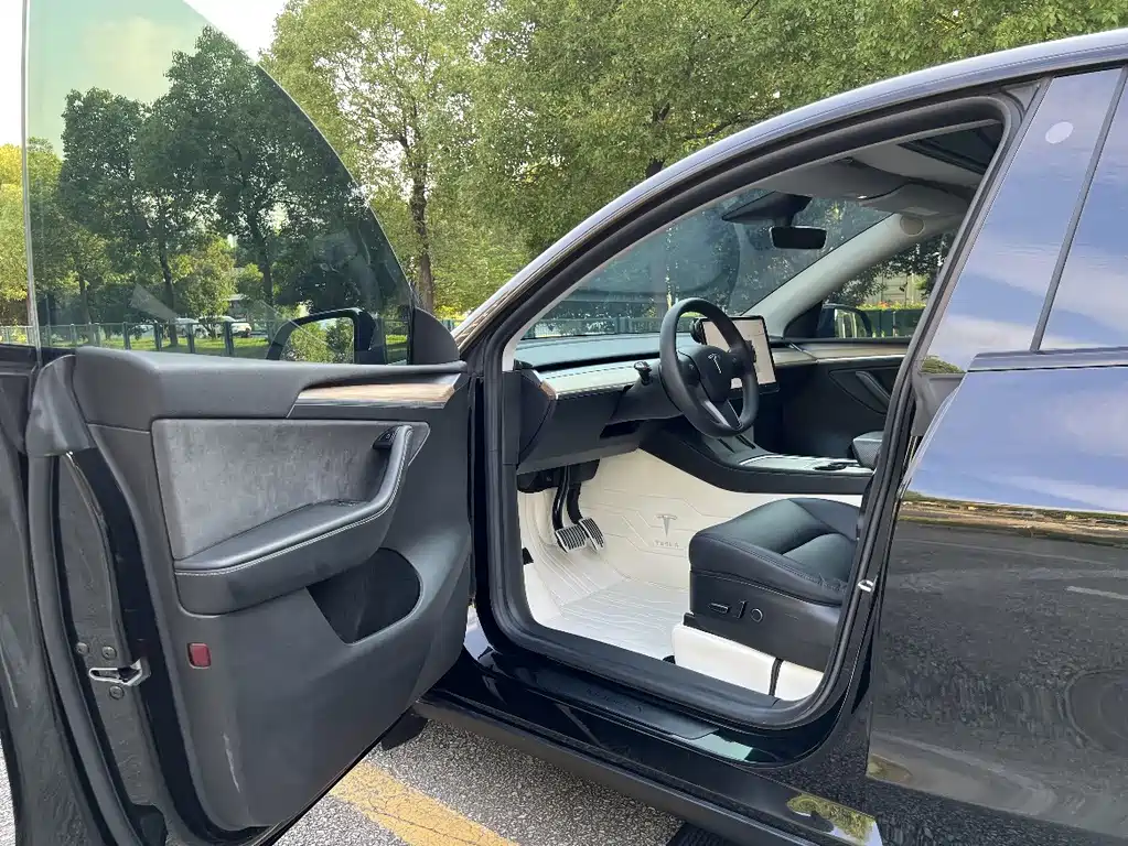 Tesla Model Y — миниатюра 6