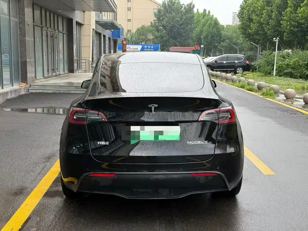 Tesla Model Y 2022 Performance