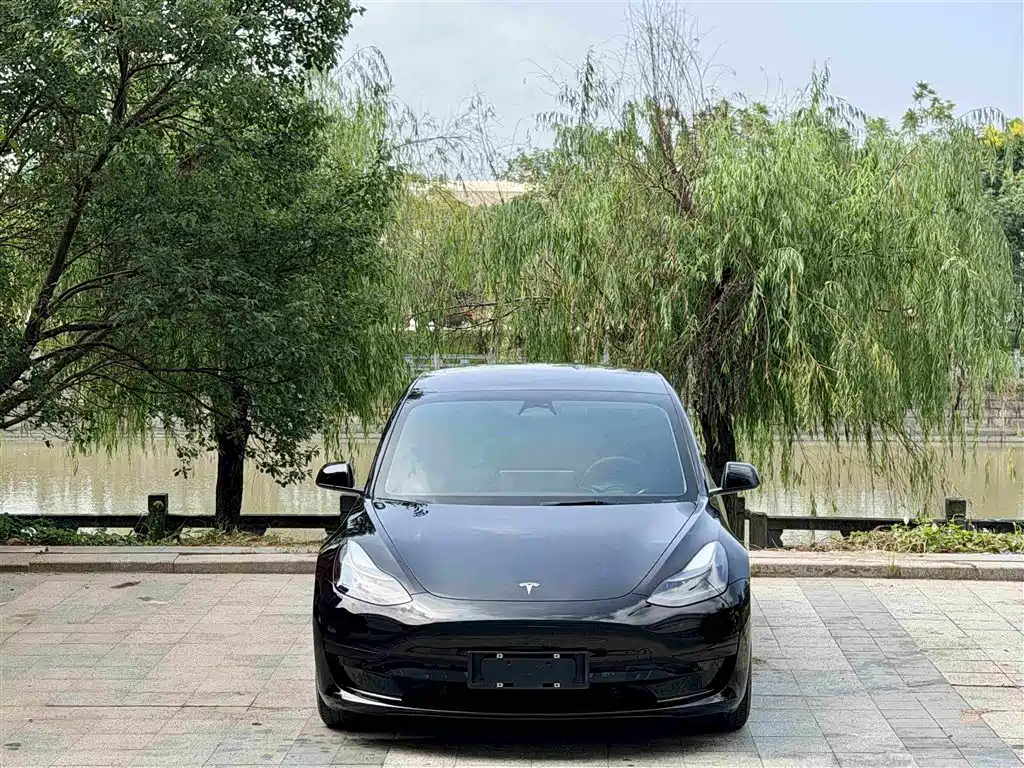Tesla Model 3 — миниатюра 2