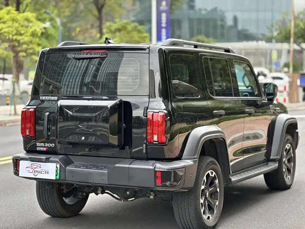 TANK TANK 300 NEW ENERGY