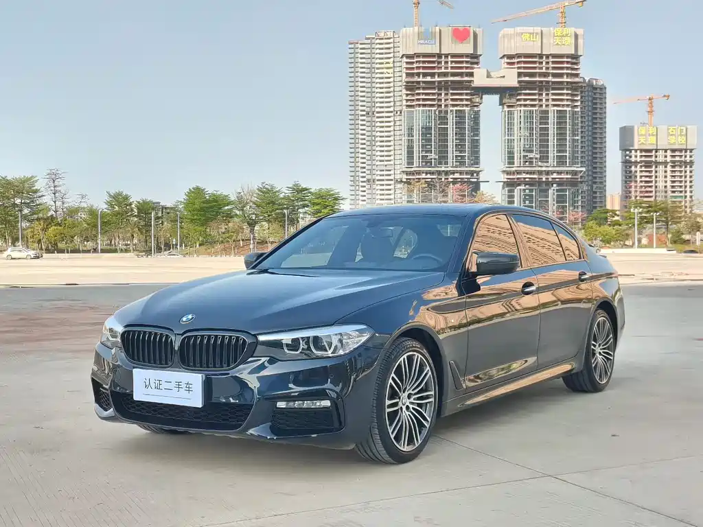 BMW 5 Series 2019